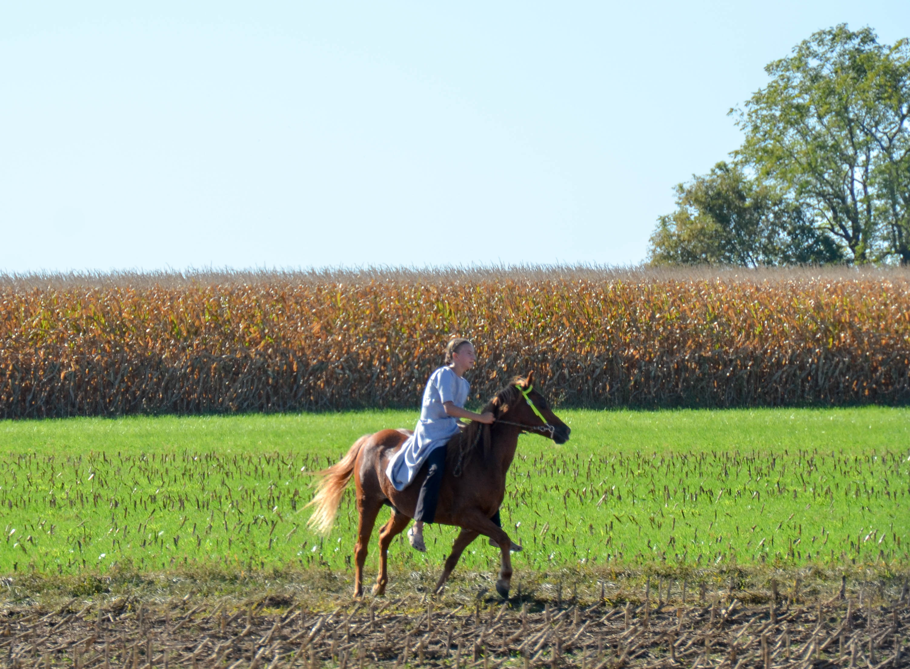 A girl gallops in a field.