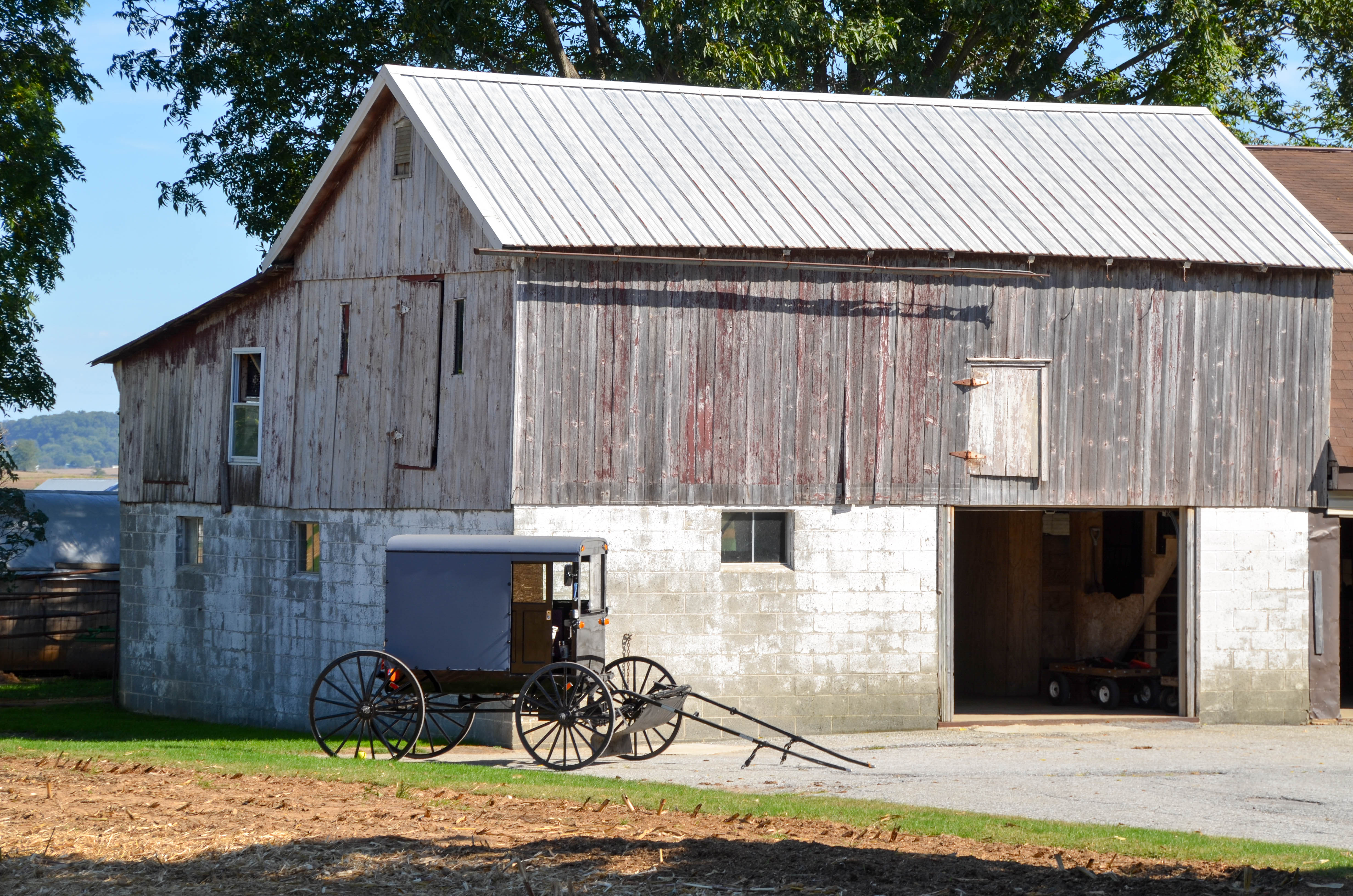 Buggy and barn.