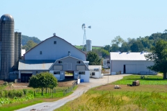 He drove us beyond power poles into Amish farm country.