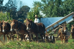 Moving into position to cut another row.