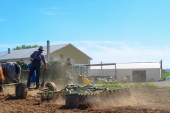 Father and daughter plowing team.