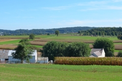 It was a warm afternoon and the countryside was beautiful.