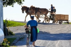 But always from the back or side, as Jacob had suggested.