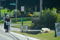 Or from a distance. This woman is riding a scooter: a popular mode of transport.