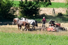 This boy drives a mowing team. Deisel motors are allowed in farmwork.