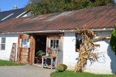 We stopped at this Amish farm for some homemade root beer and ketchup.