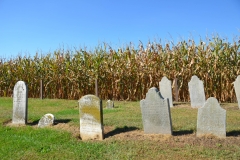 Little graveyard next to a corn field.