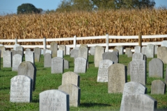 We stopped at a few simple cemetaries.