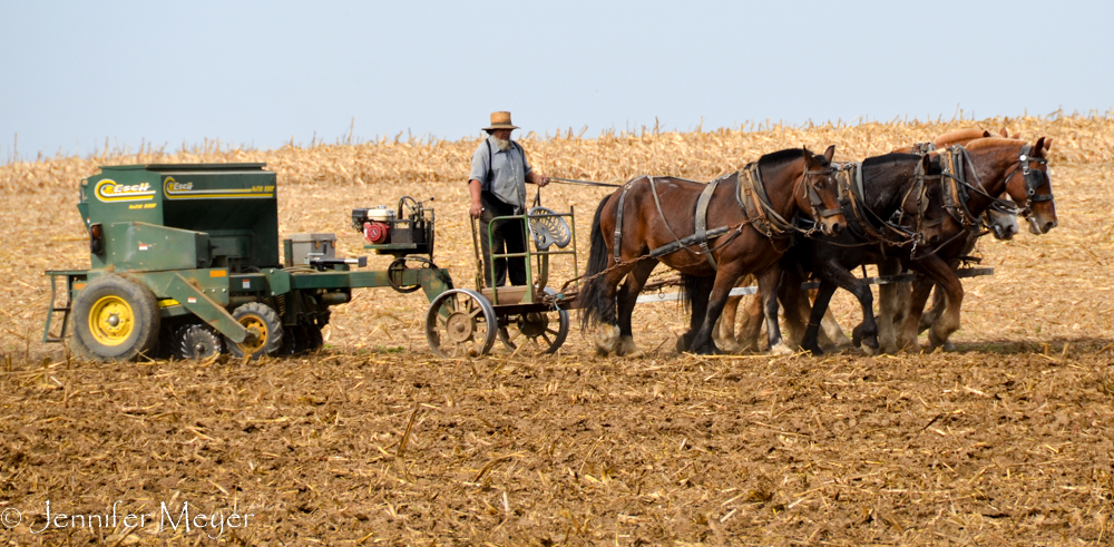 Another farmer.