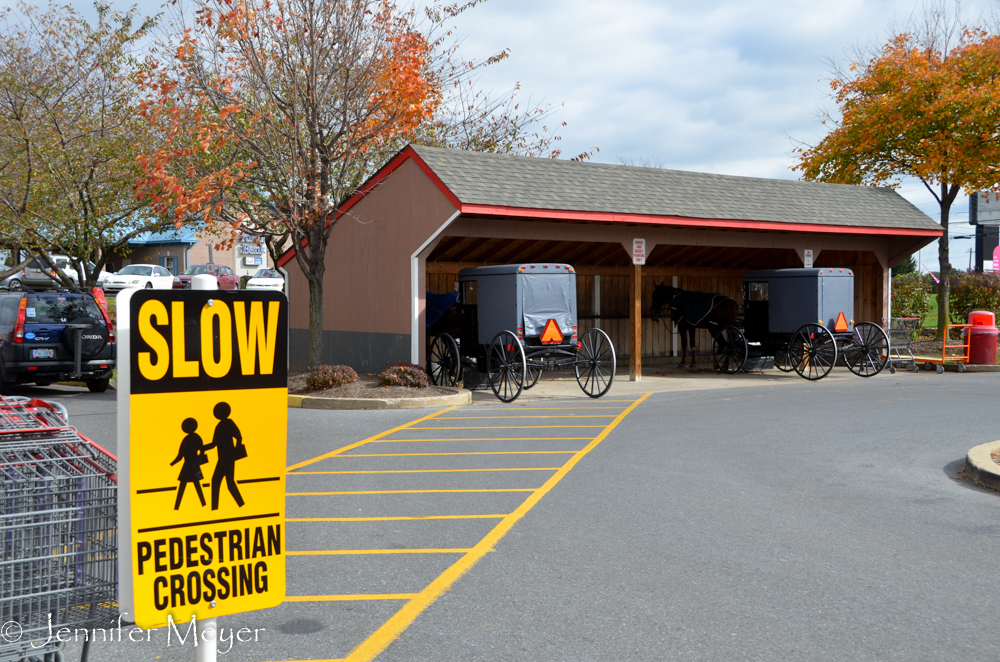 At Costco, Kate and I were suprised to find special buggy parking.