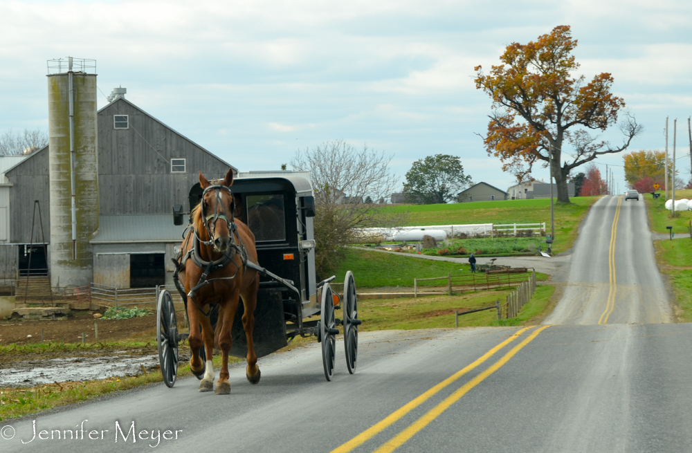 We drove around country roads.