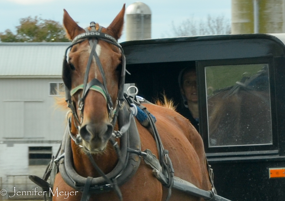 I snapped photos through the windows while Kate drove.