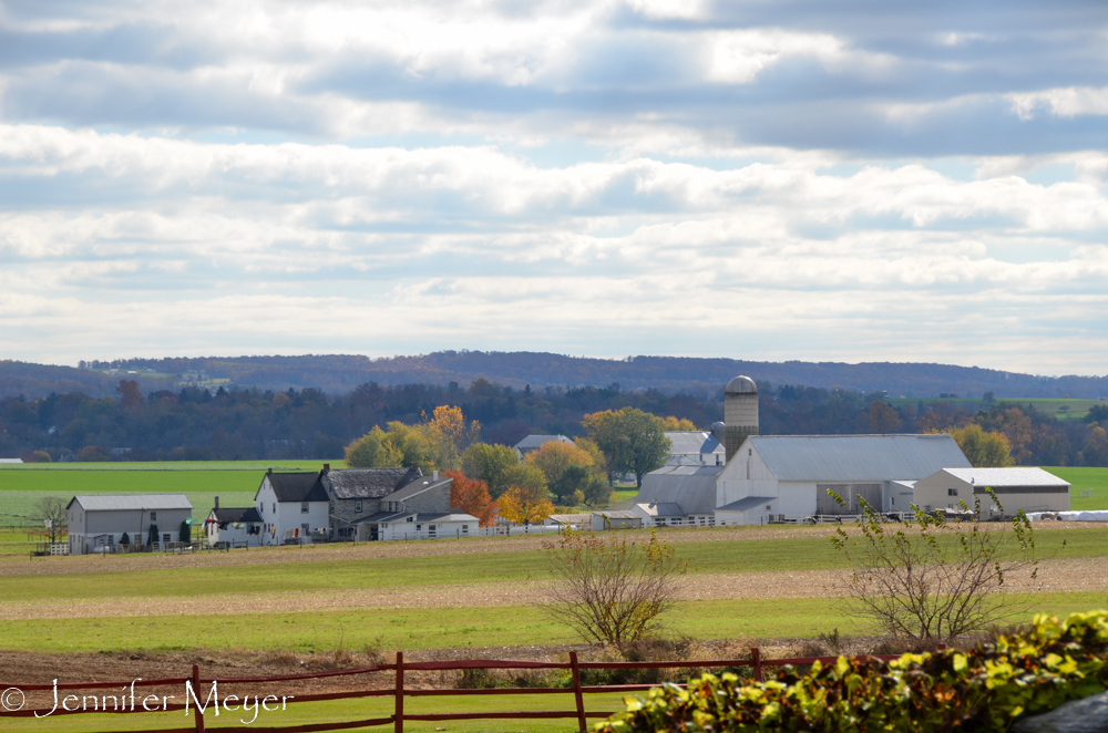 So many Amish farms.