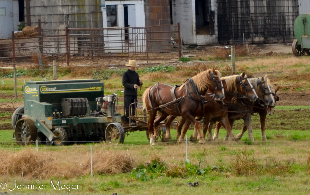 So many boys working in fields.