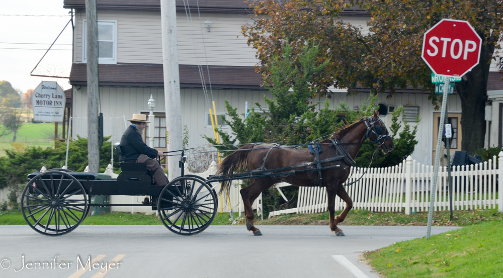 Amish pick-up.