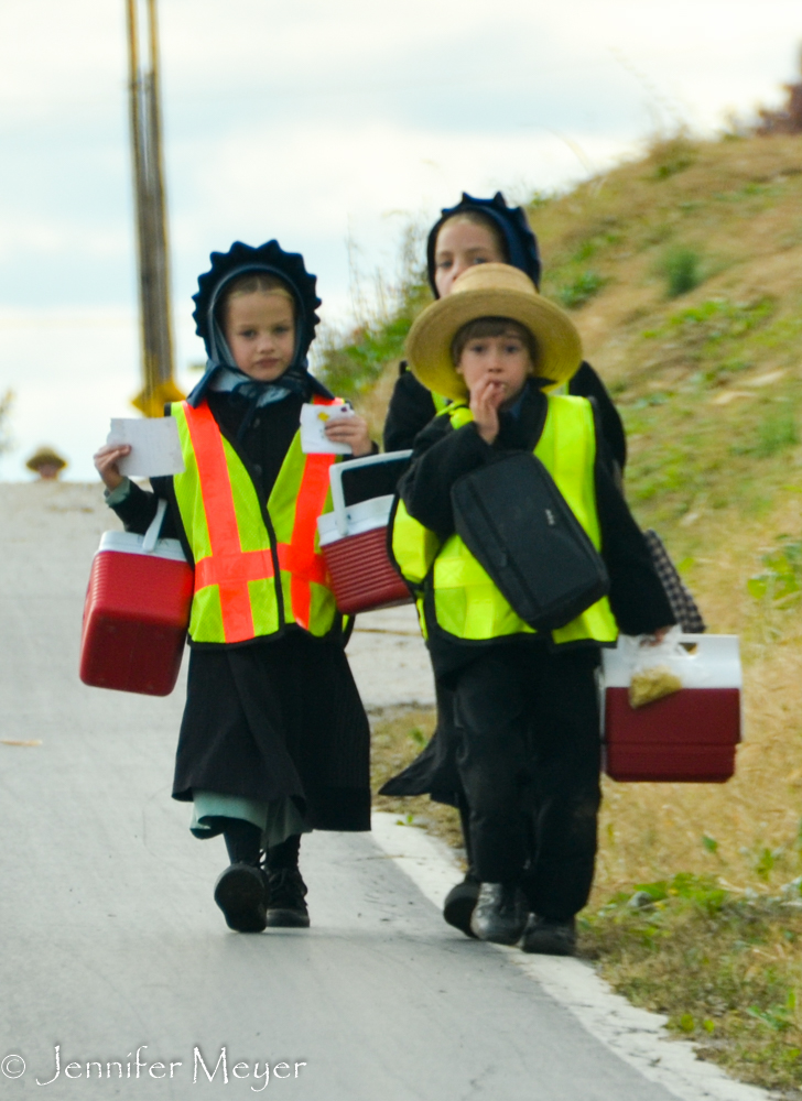 And most all of them wear reflective vests to walk on the road.