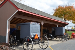 There were lots of Amish people in the store, buying supplies.