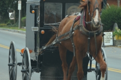 The cutest little blonde boy was in the buggy.