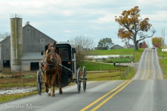 We drove around country roads.