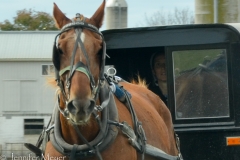 I snapped photos through the windows while Kate drove.