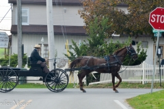 Amish pick-up.