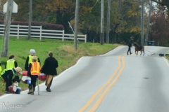 That's a pony pulling a lawn mower in the street.