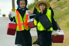 And most all of them wear reflective vests to walk on the road.