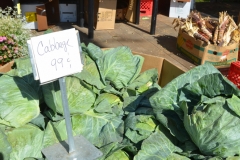 Giant cabbages for a buck.