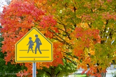 I rode by many one-room schoolhouses.