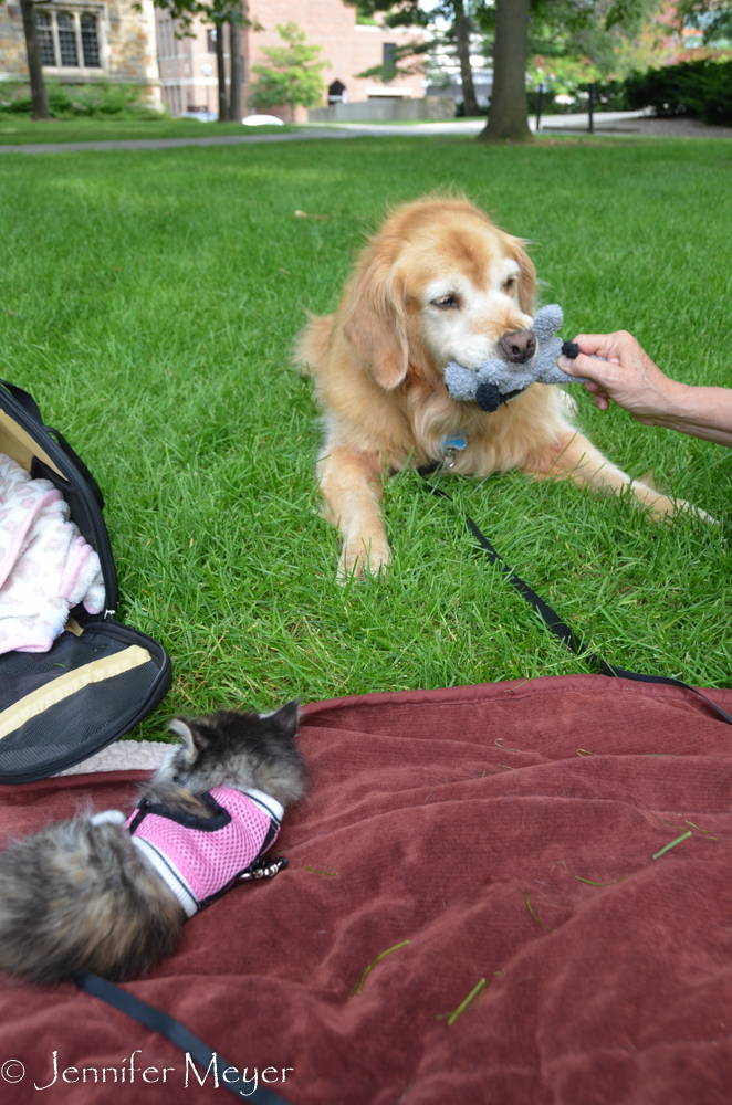 But sometimes she steals her toys.