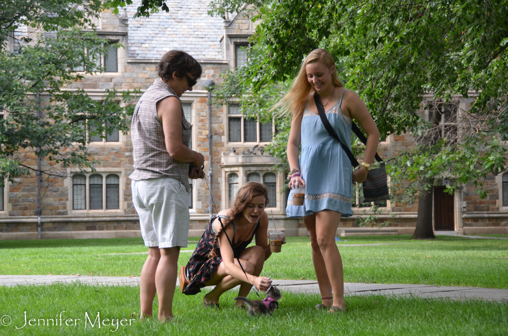 No one can resist Gypsy.