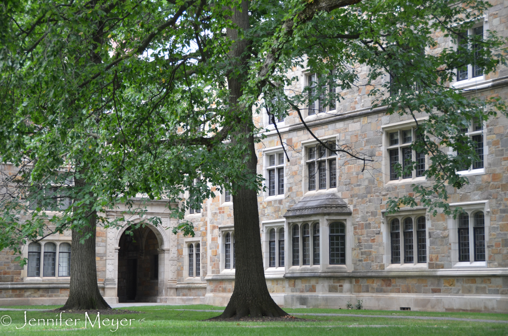 Such an exquisitely beautiful campus.