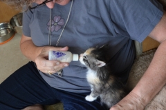 Gypsy gets her morning bottle.