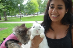 Gypsy and the bunny weren't too keen on each other.