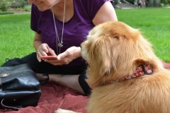 Having two pets with us does limit what we can do.