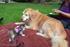 So hanging out on a blanket on a beautiful day was perfect.