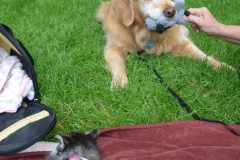 But sometimes she steals her toys.