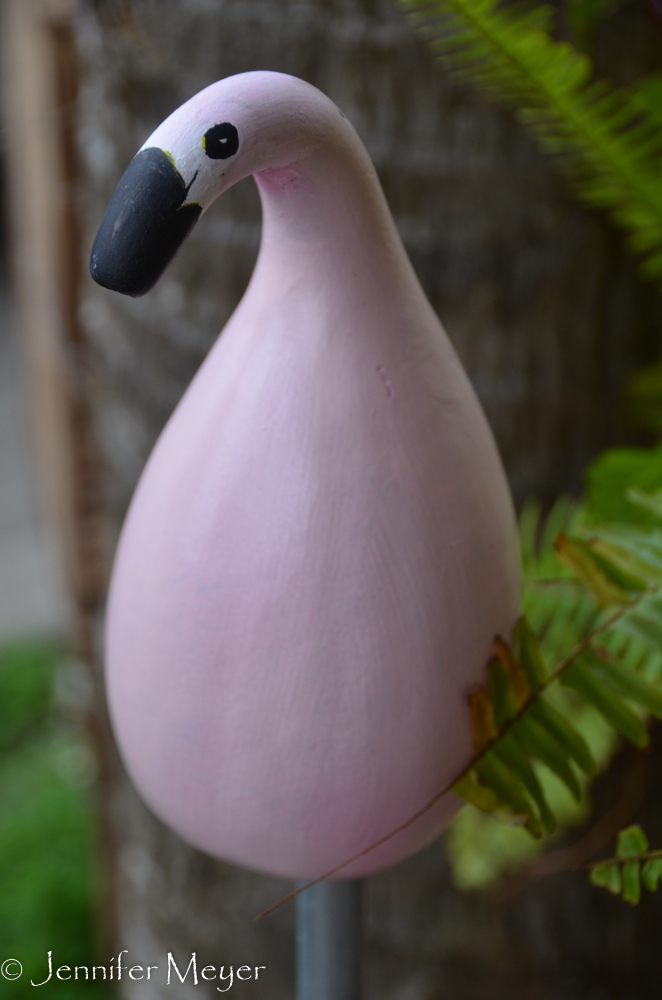 Gourd flamingo.