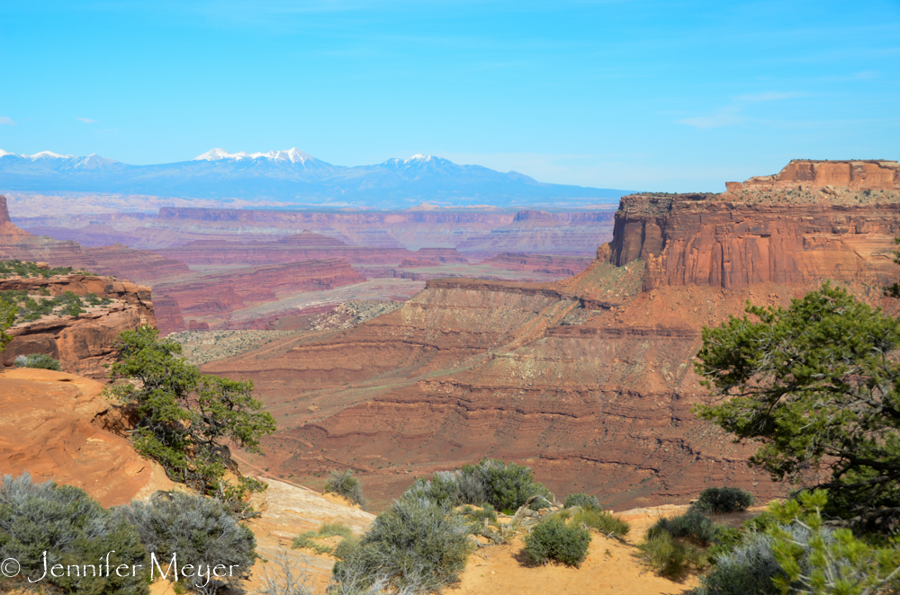 We were so close to Canyonlands NP, we decided to check it out.
