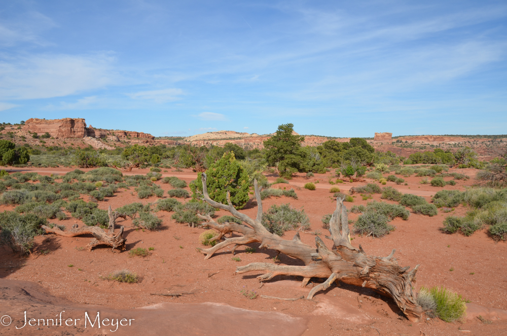 We didn't have time to explore further.