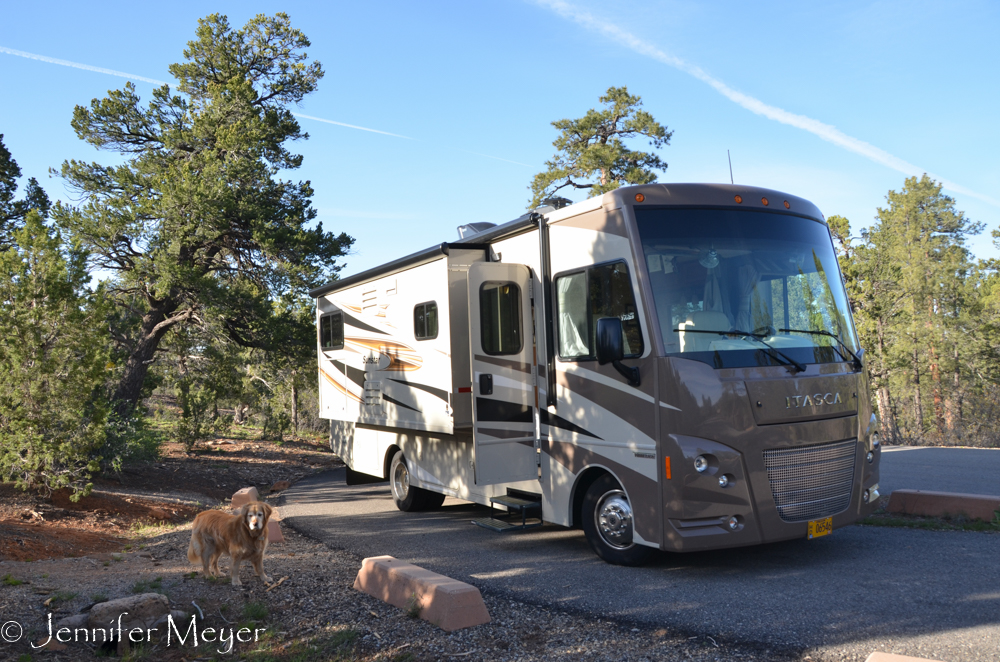 No hook-ups, but only $10, and a very nice park.