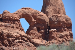arches-15