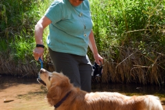 The trail was just east of Mohab and followed a stream.
