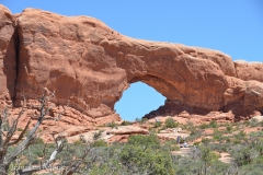 But Arches National Park is really astounding.