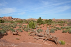 We didn't have time to explore further.