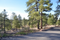 We found Devil's Canyon National Forest park.