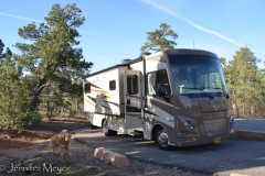 No hook-ups, but only $10, and a very nice park.