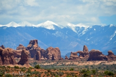 My photos don't do it justice.'