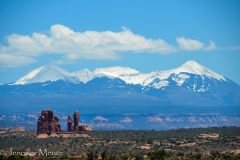 It takes about 45 minutes to drive to the end of the park.
