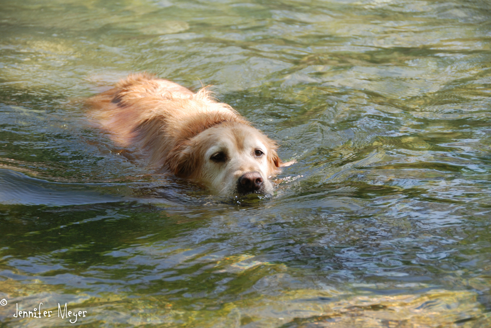 She loved going for a swim